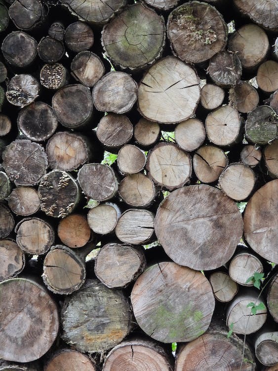 Photo of stacks wood logs